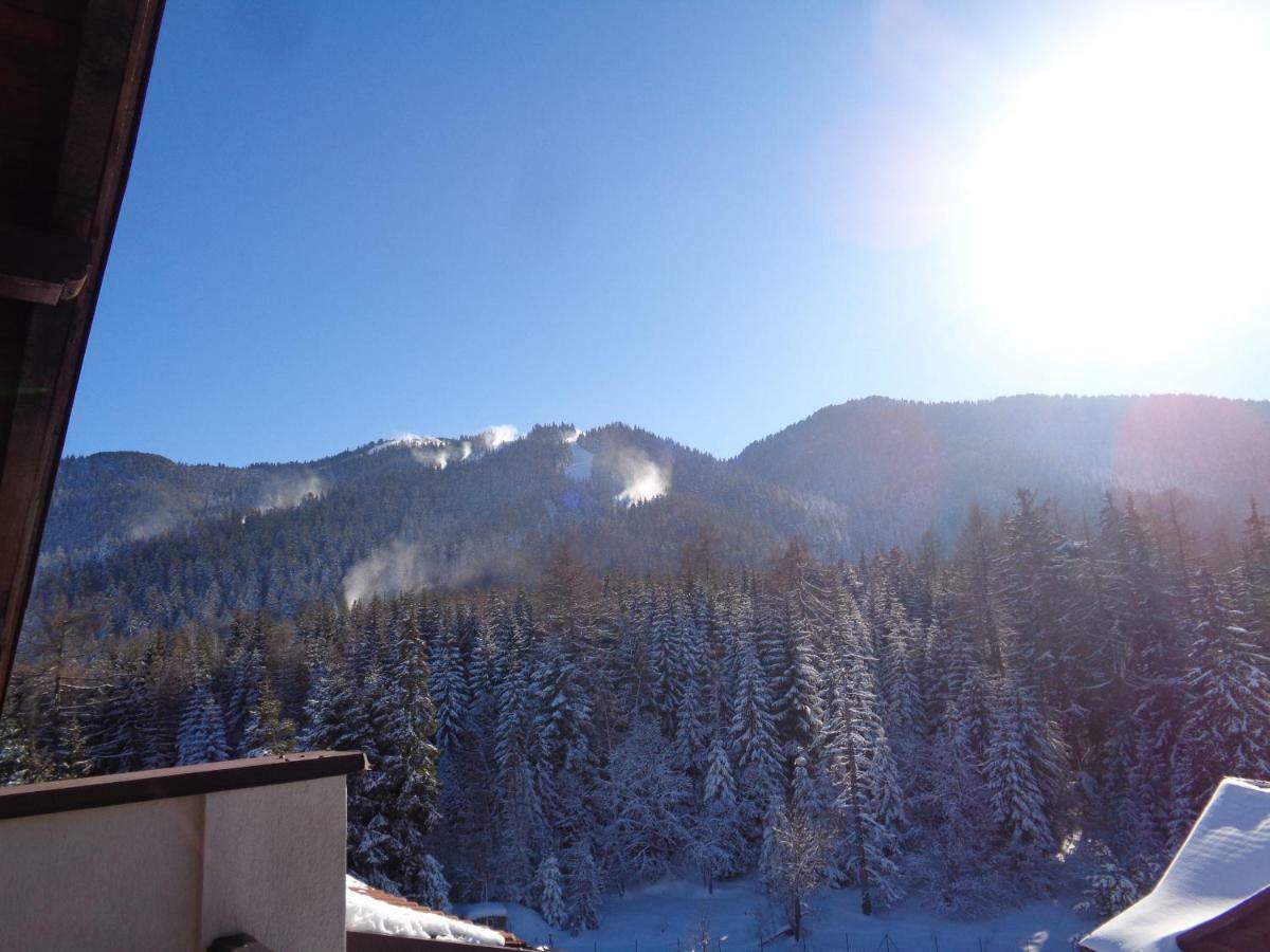 Yastrebetz View Apartment Borovets Exterior photo